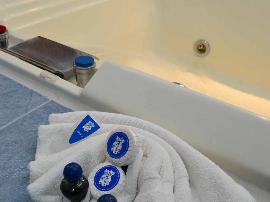 Hotel Maria Isabel主图