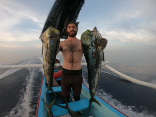 Fusion Freedive and Spearfishing-沙努尔必去景点