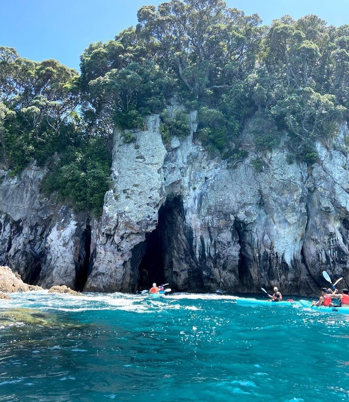 Pedal and Paddle景点图片