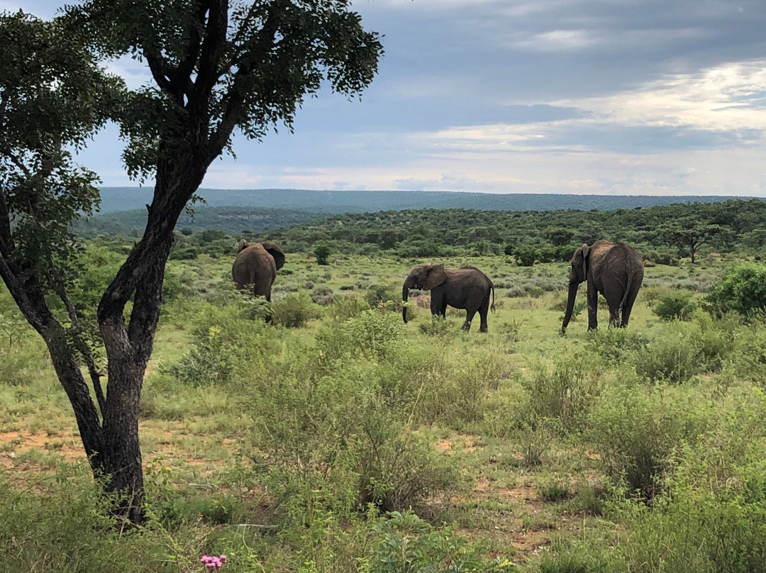 Welgevonden Nature Reserve-瓦尔沃特必去景点