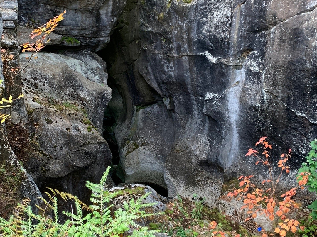 Natural Bridge State Park景点图片