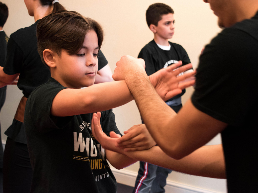 Jack Kontou Wing Chun Kung Fu - JKWC景点图片