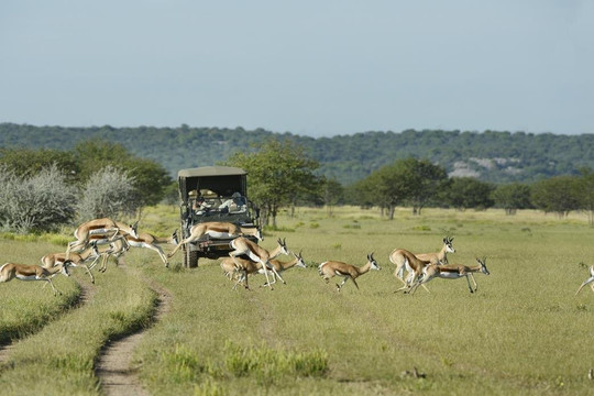 Five Stars Tours & Safaris-温德和克必去景点