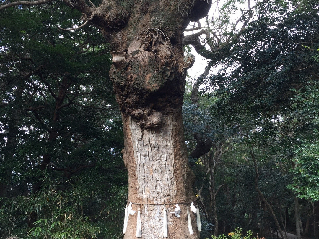 Takuzudama Shrine-对马市必去景点
