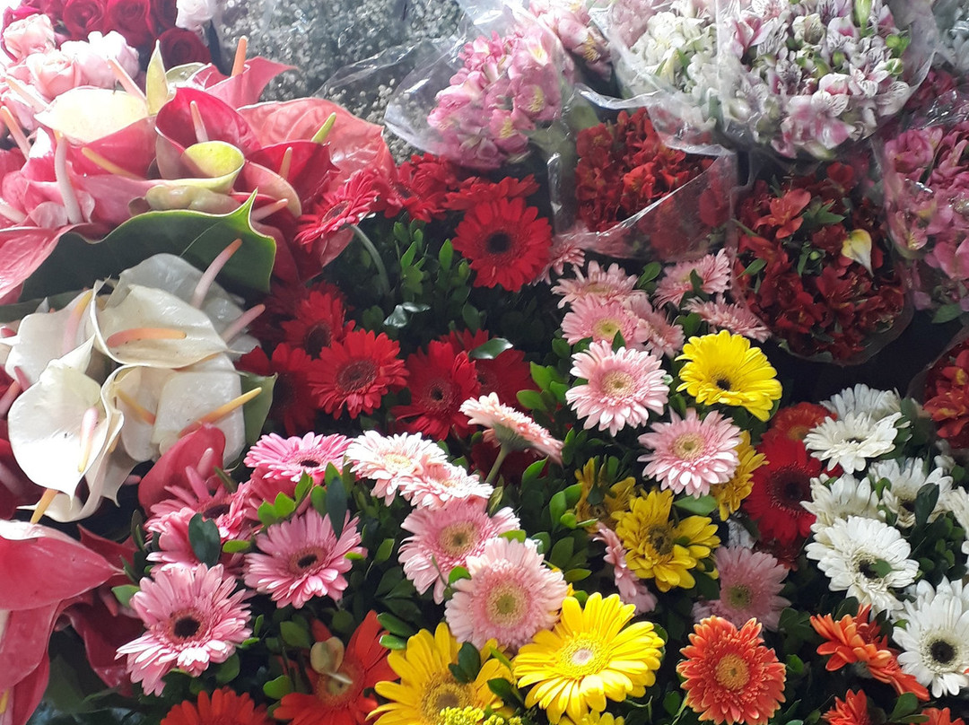 Hortomercado-彼得罗波利斯必去景点