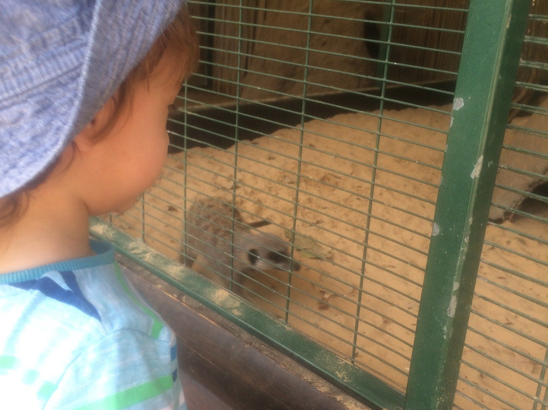 Kfar Saba Park-Kefar Sava必去景点