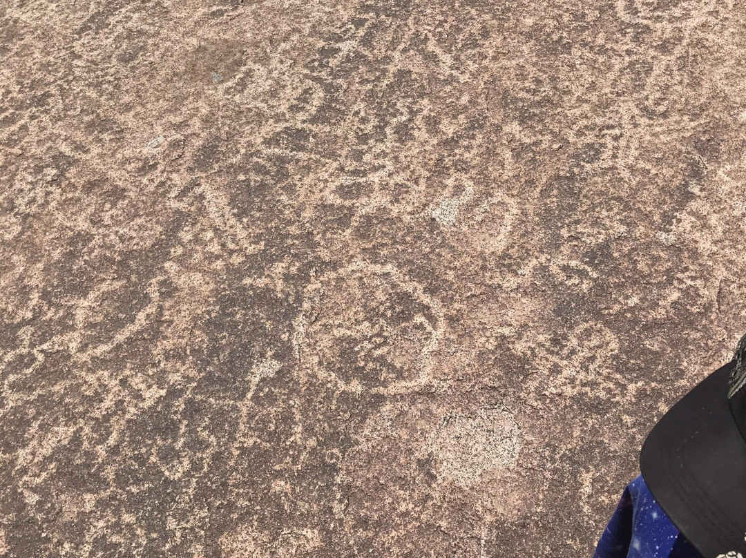 Petroglifos De Tilama-Coquimbo必去景点