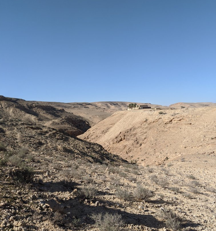 Negev Camel Ranch-Dimona必去景点