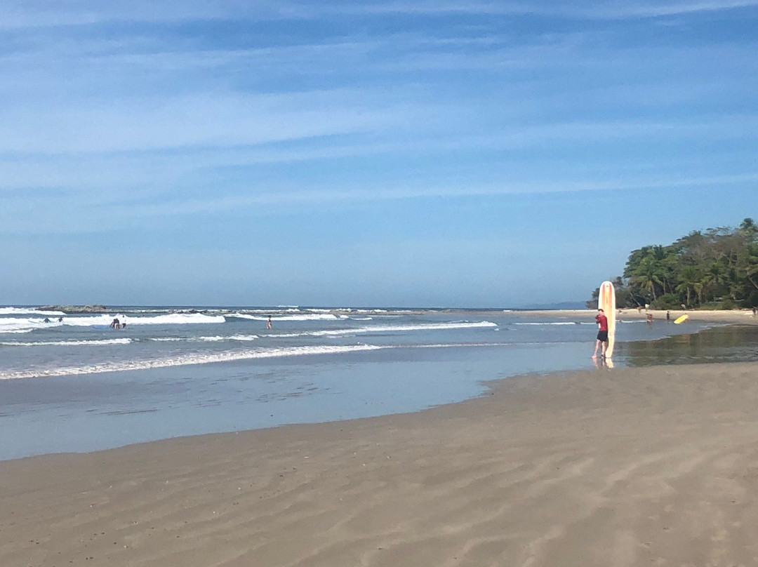 Young Vision Surf School景点图片