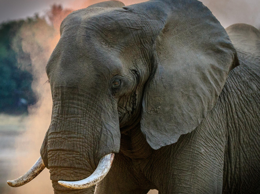 Sensing Africa-霍德斯普鲁特必去景点