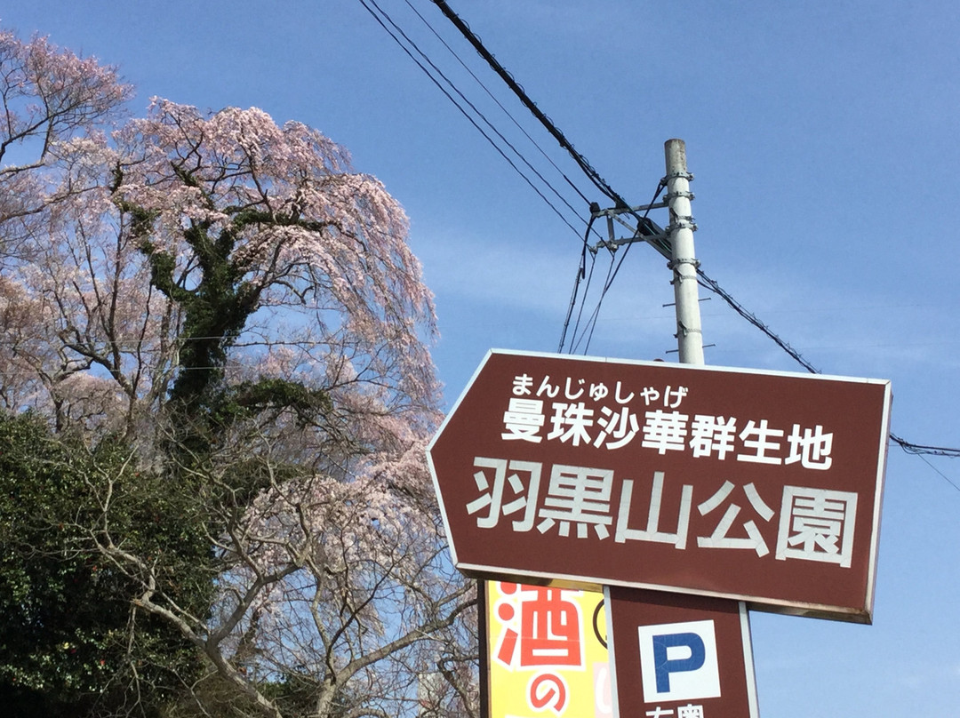 Hagurosan Park-大崎市必去景点