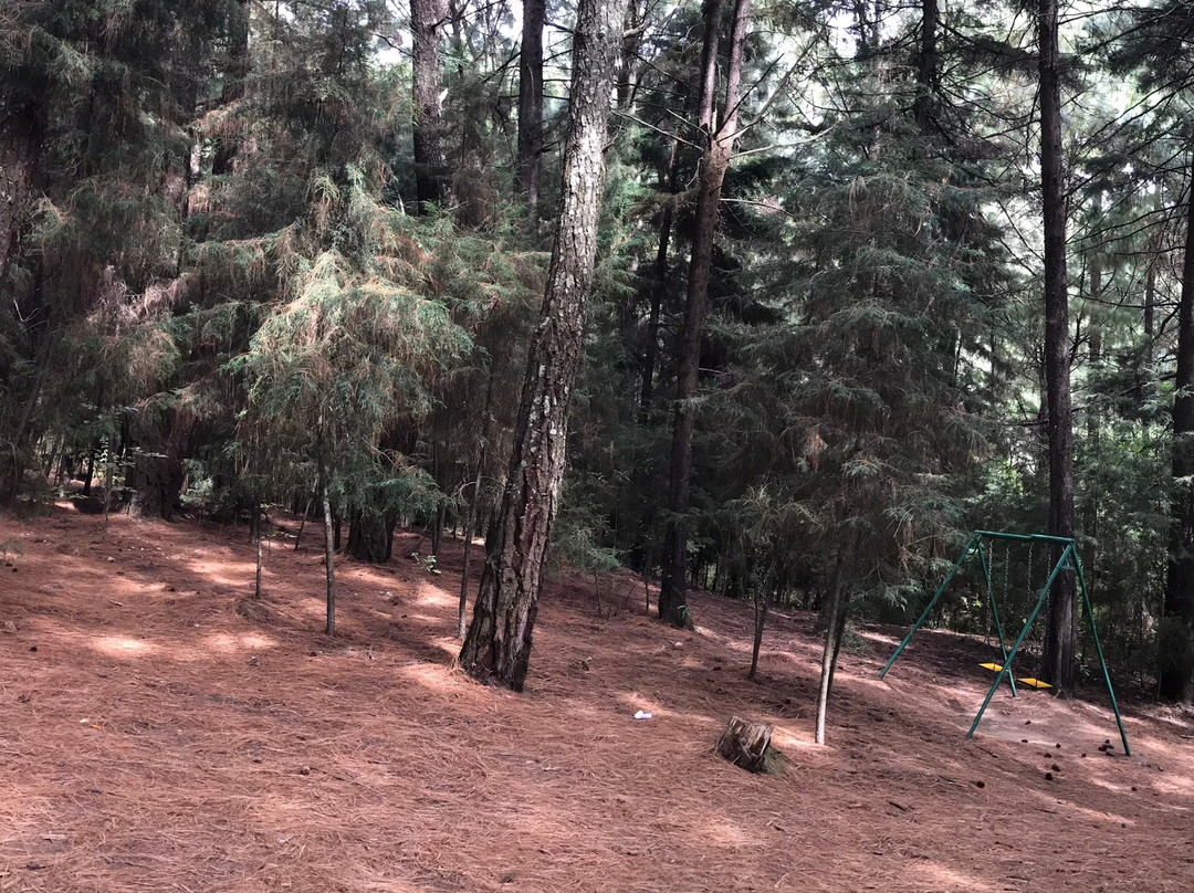 Nepopualco Parque de los Venados景点图片