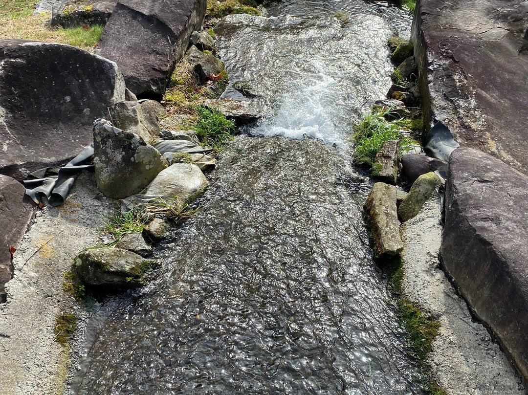 Cooper Creek Trout Farm & Pond景点图片