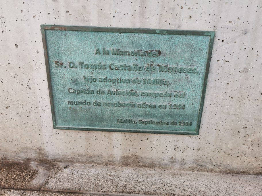 Estatua del Aviador Tomas Castano-梅利利亚必去景点