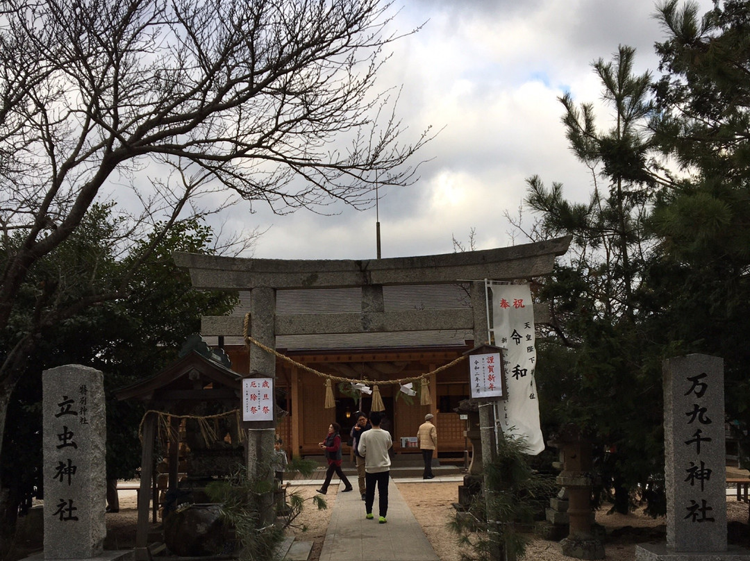 Makuse Shrine Tachimushi Shrine-出云市必去景点