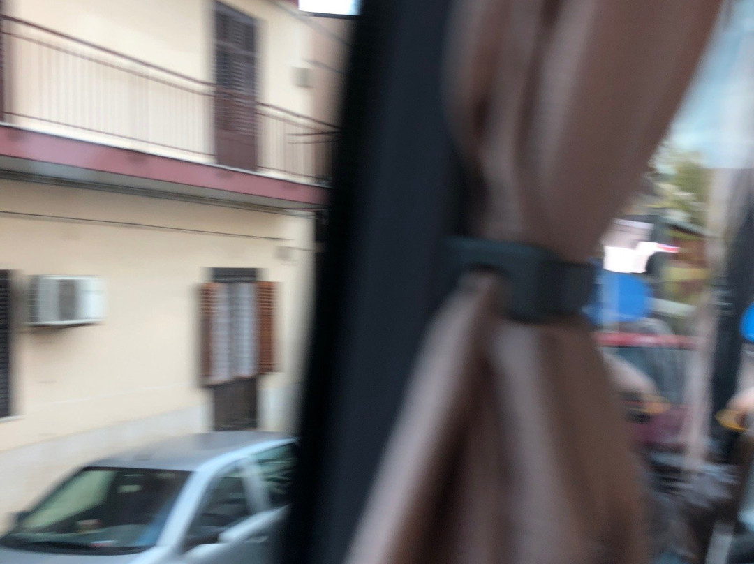 Parco della Favorita-巴勒莫必去景点