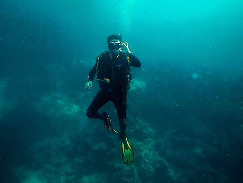 The Blue Abyss Dive Shop-莫阿尔博阿尔必去景点