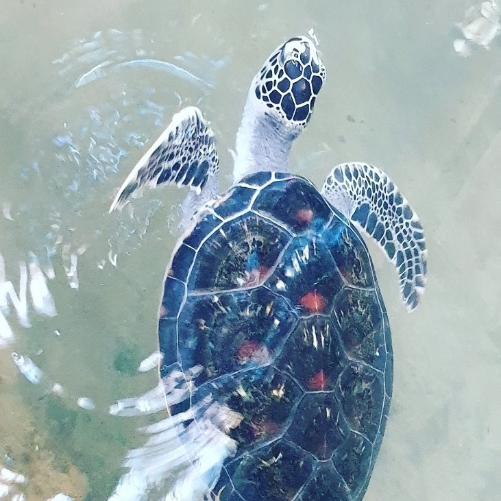 Sri Lanka Voyage-卡卢特勒必去景点