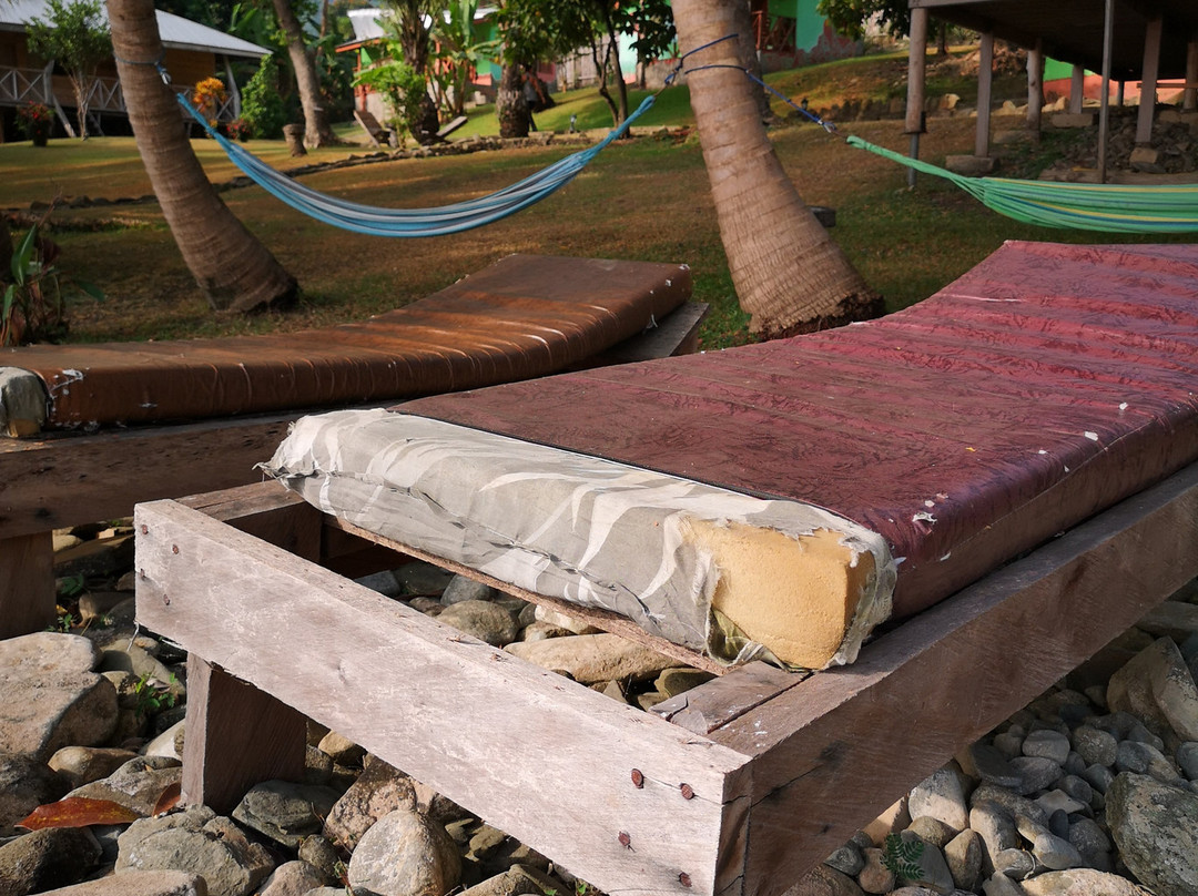 Cocoa Village Guesthouse主图