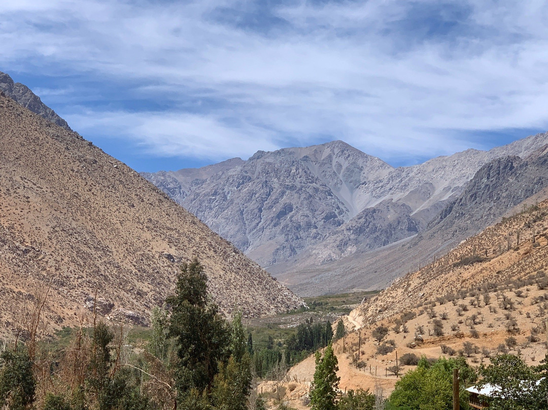 Valle del Elqui景点图片