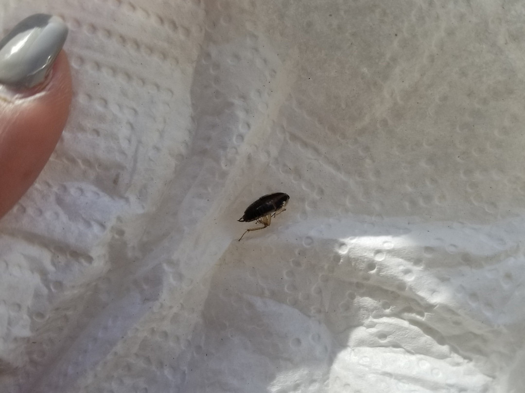 Extended Stay America Columbia - Laurel - Ft. Meade主图