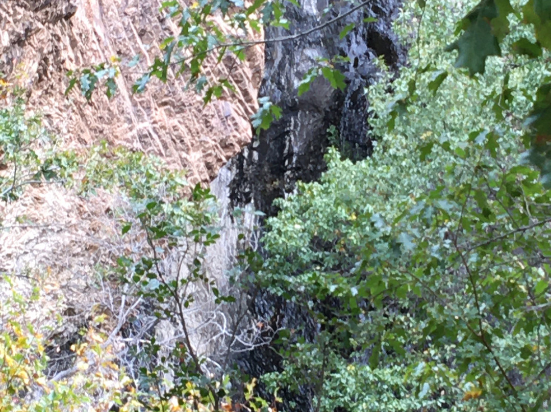 Cattail Falls Trail景点图片
