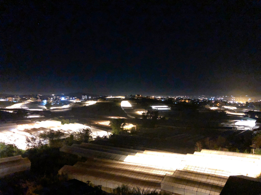 Canary Dalat Hotel主图