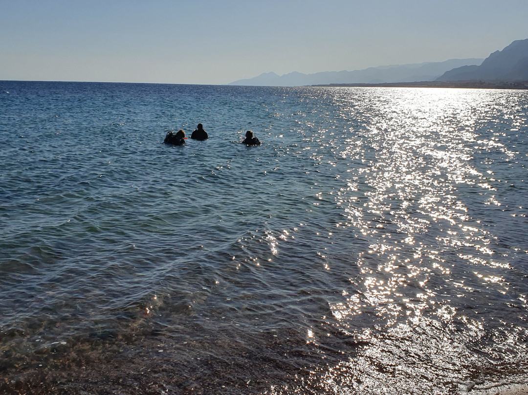 Red Sea Water World Taba Heights-塔巴必去景点