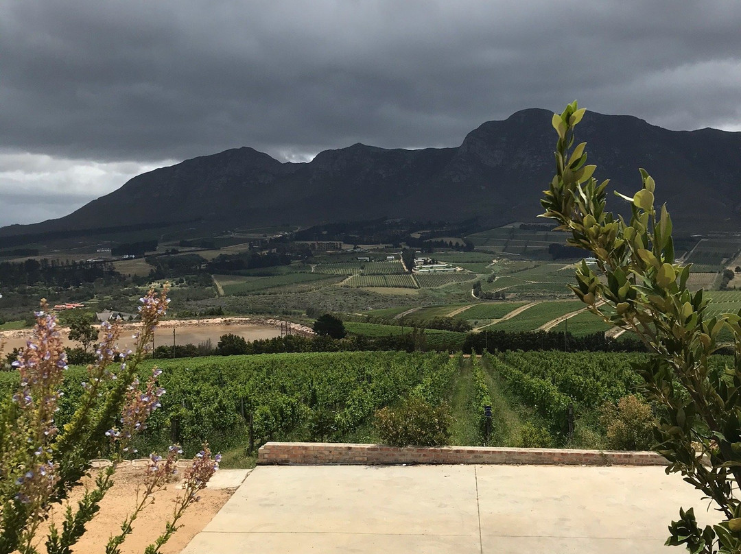 Ataraxia Wines-赫曼努斯必去景点