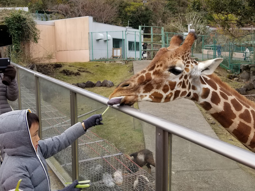 Izu Animal Kingdom景点图片