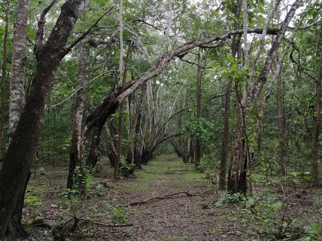 Parampara Cottages主图