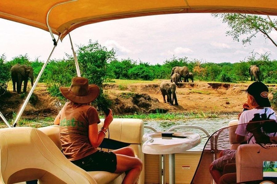 Asante Tour Safaris & Travel