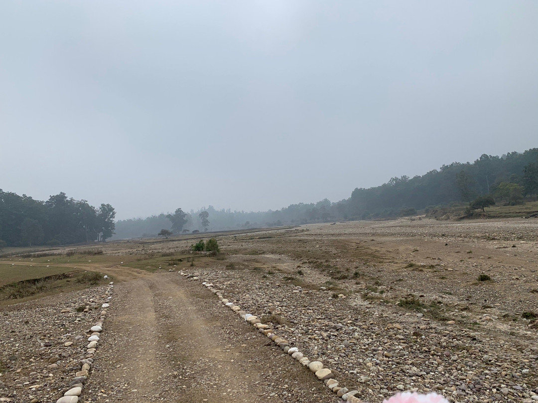 Rajaji Tiger Reserve景点图片