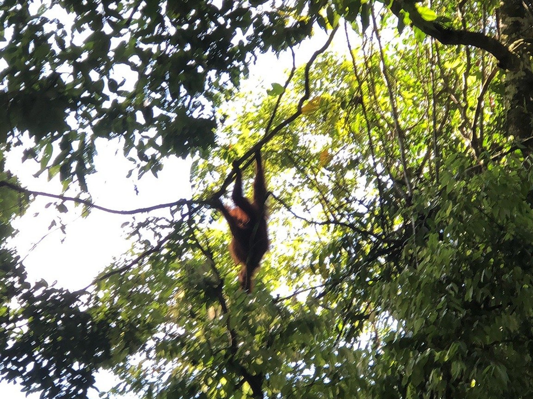 Sadar Wisata Guesthouse主图