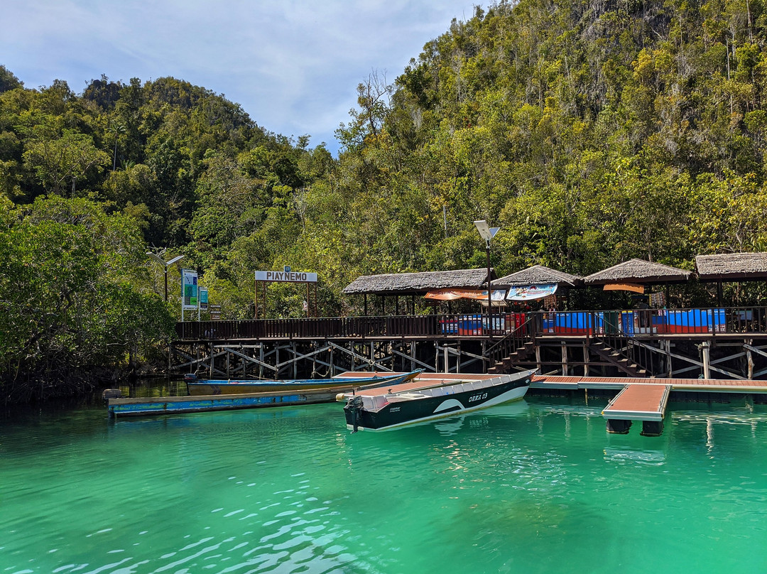 Pianemo Hill-四王岛必去景点