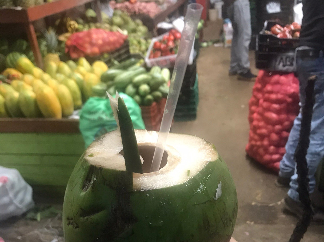 San Jose旅游攻略图片