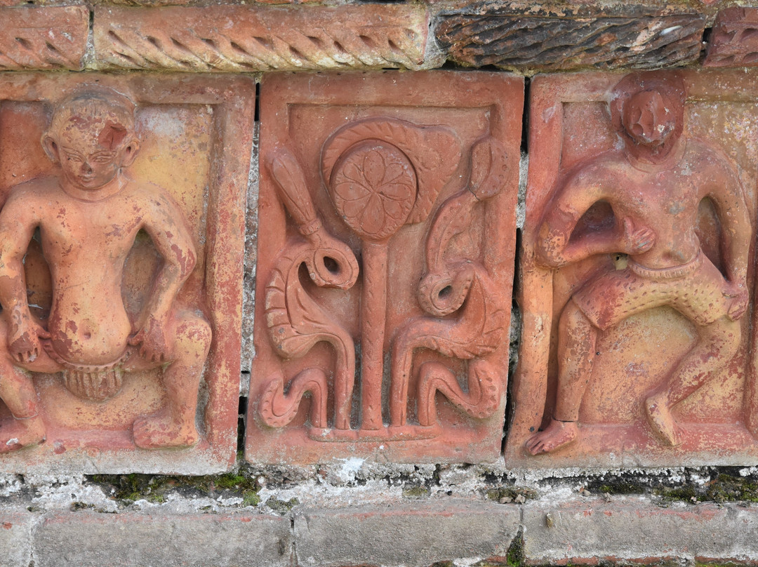 Ruins of the Buddhist Vihara at Paharpur景点图片