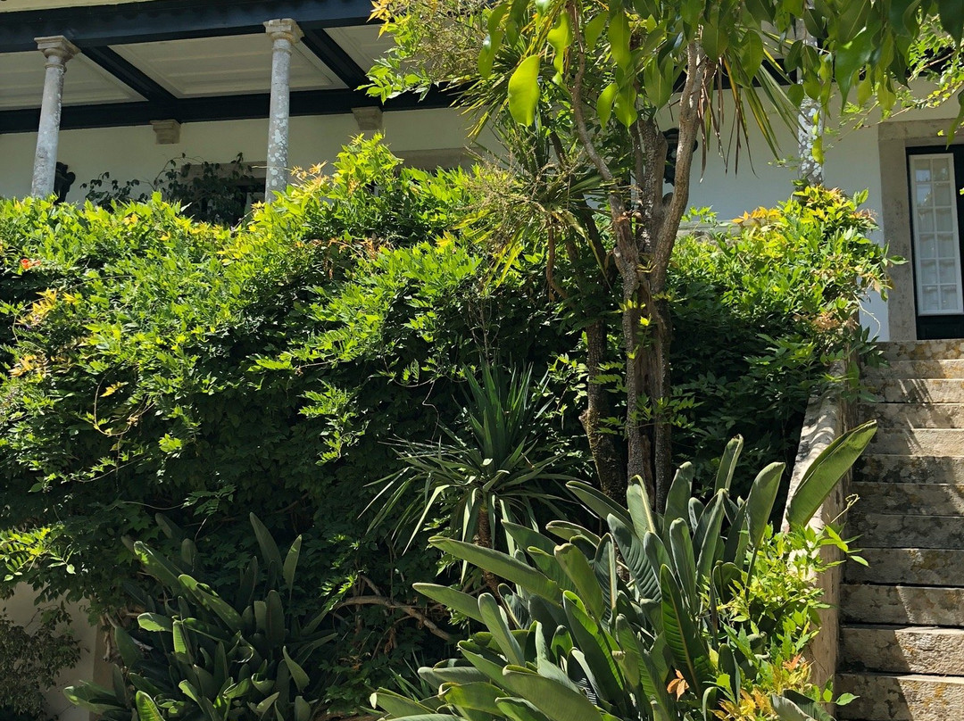 Quinta de Sao Thiago主图