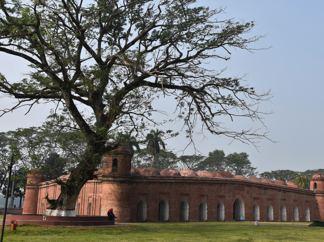 Shait-Gumbad Mosque景点图片