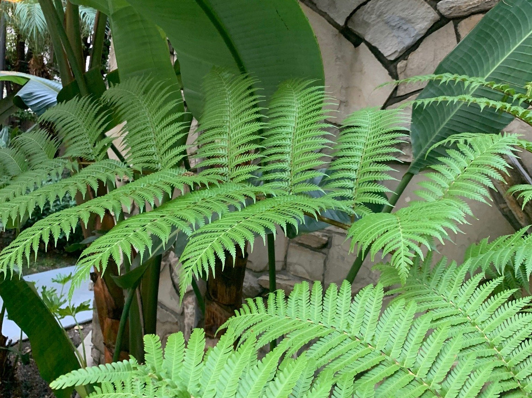 Best Western Pine Tree Motel主图