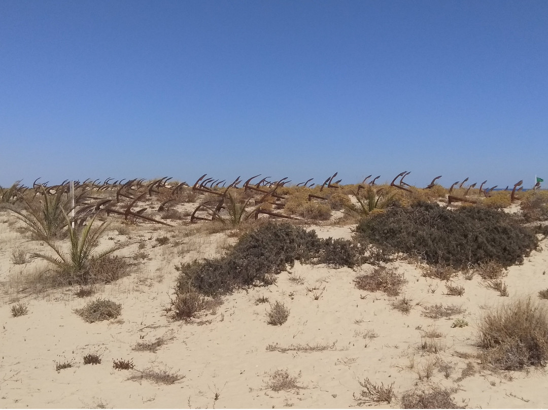 R-2rs - Tours e Transfers-里斯本必去景点