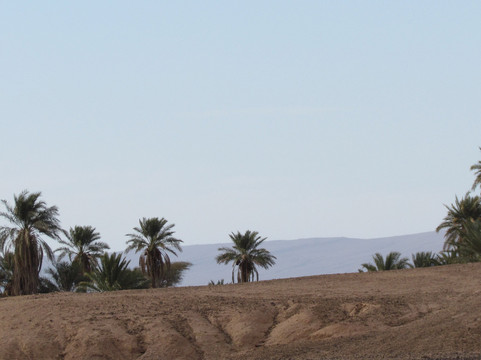 L'oasis Sacree-El Gouera必去景点