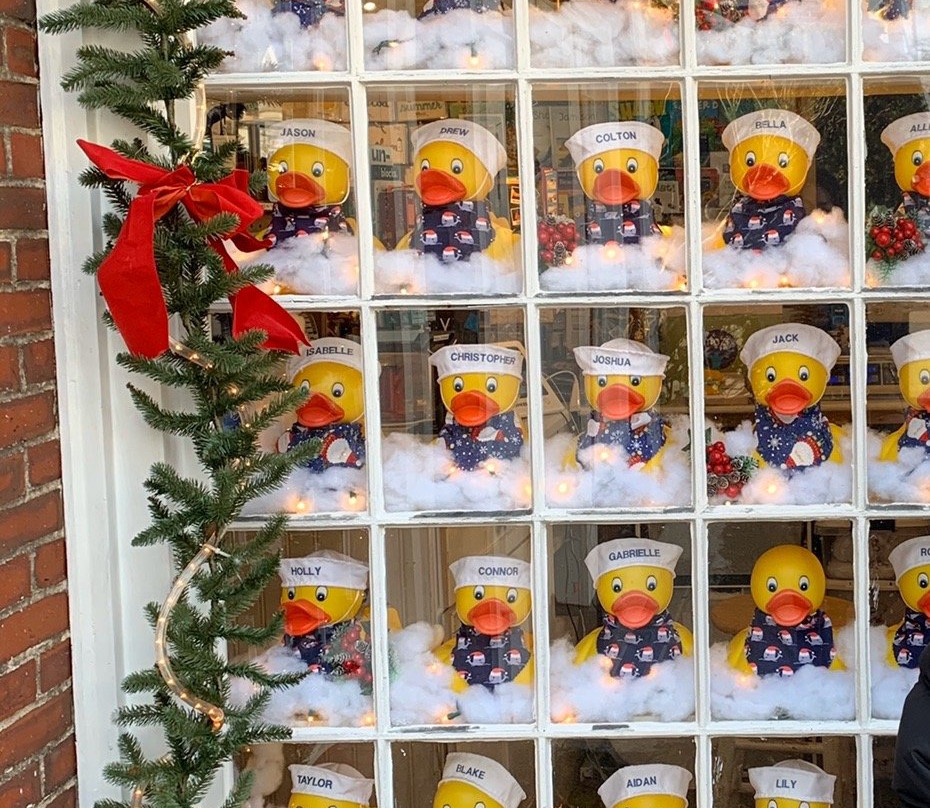 Ducks in the Window景点图片