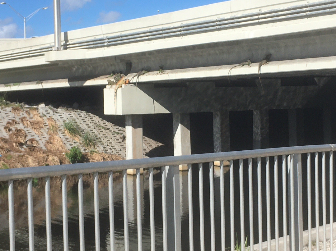 El Rio Trail-博卡拉顿必去景点