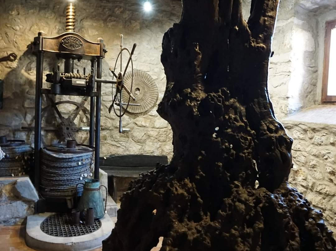 Museo Della Civilta Contadina E dell'Ulivo-Pastena必去景点