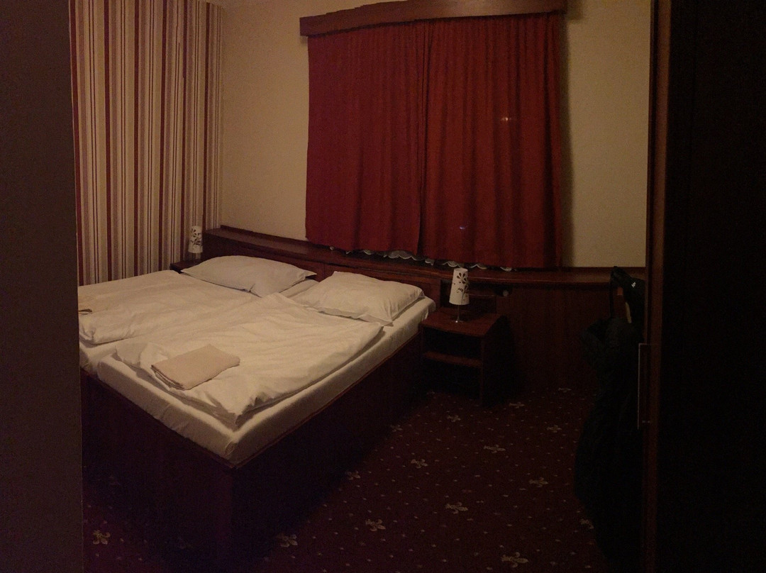 Hotel Hynek主图