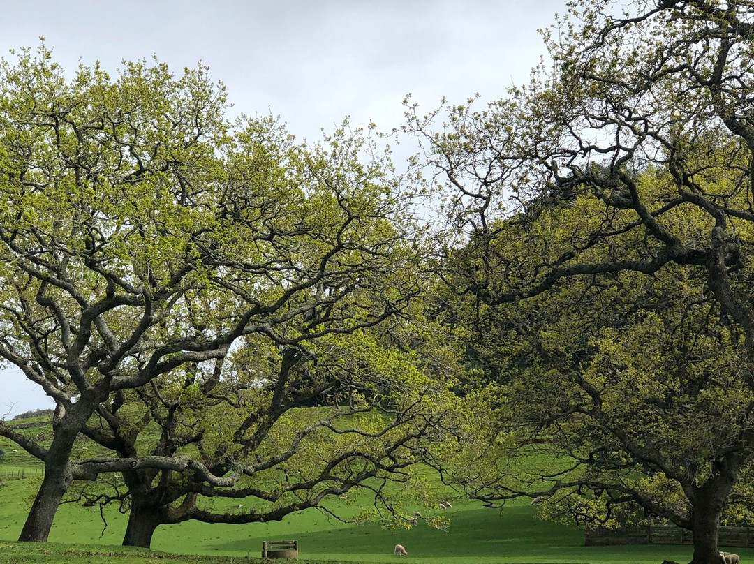 Point View Reserve-奥克兰中心地区必去景点