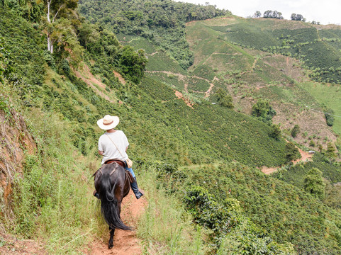 Coffee Tours - Finca La Manchuria-Salgar必去景点