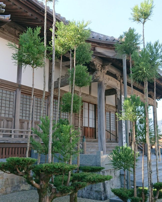 Kyoho-ji Temple-伊万里市必去景点