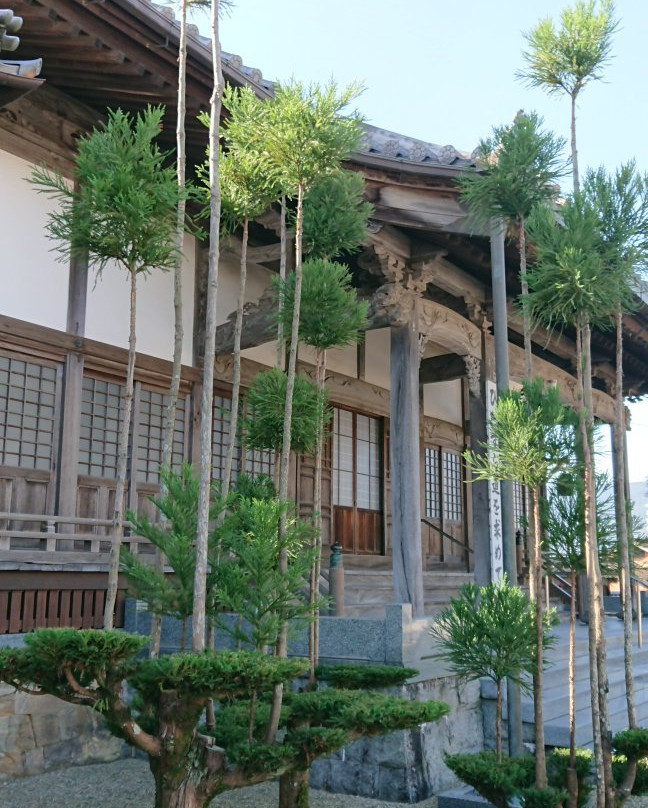 Kyoho-ji Temple景点图片